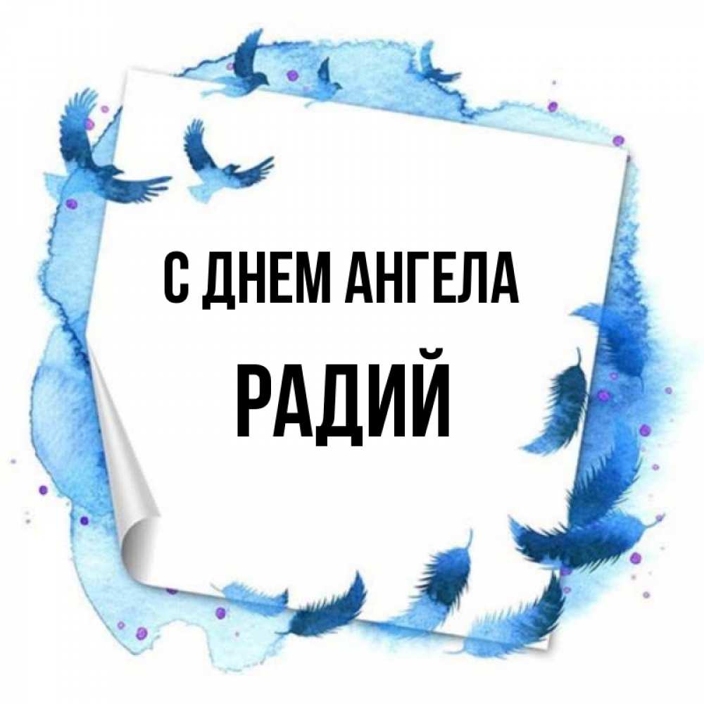 Открытка на каждый день с именем, Радий С днем ангела красивые птицы летят Прикольная открытка с пожеланием онлайн скачать бесплатно 