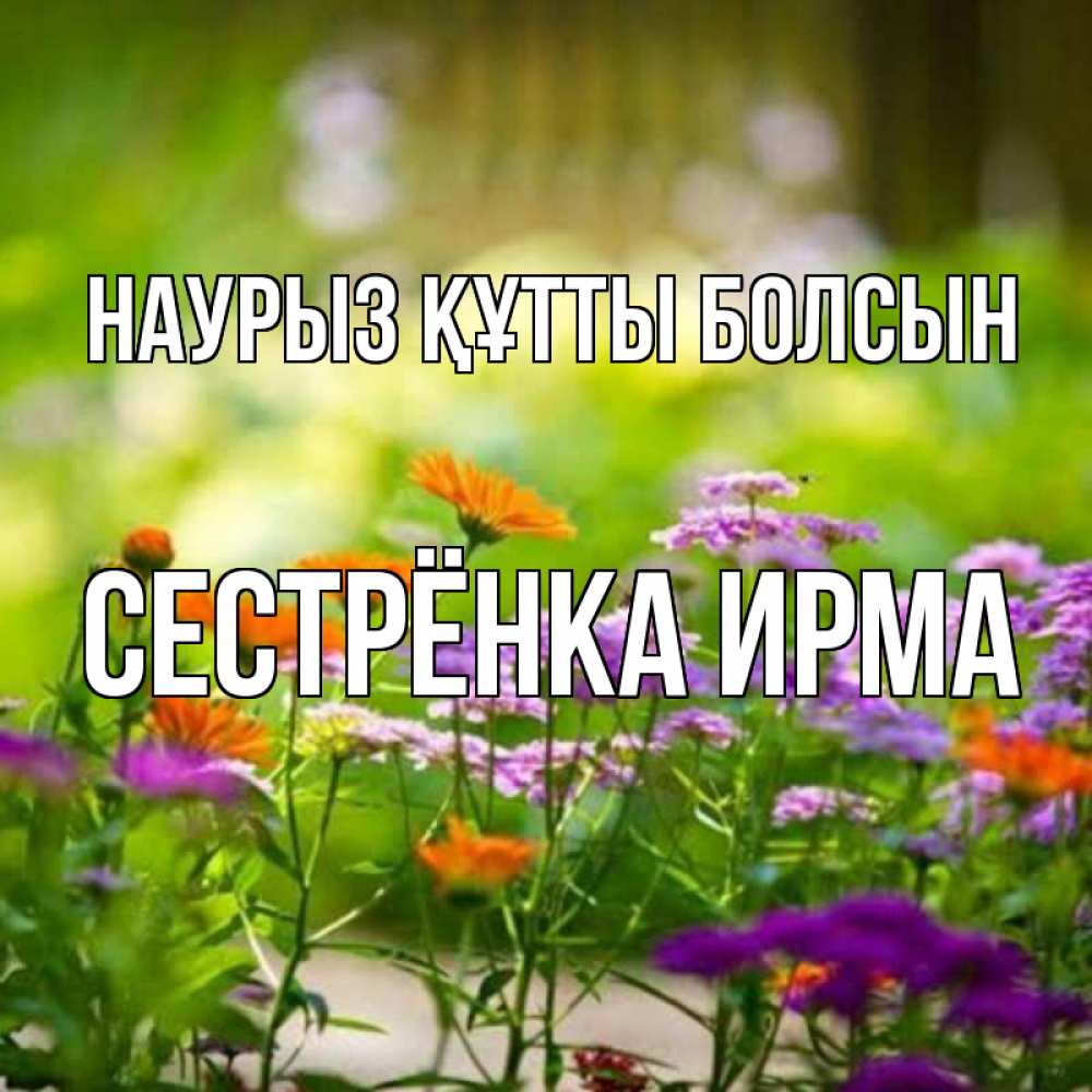 Открытка на каждый день с именем, Сестрёнка-Ирма Наурыз құтты болсын цветы Прикольная открытка с пожеланием онлайн скачать бесплатно 