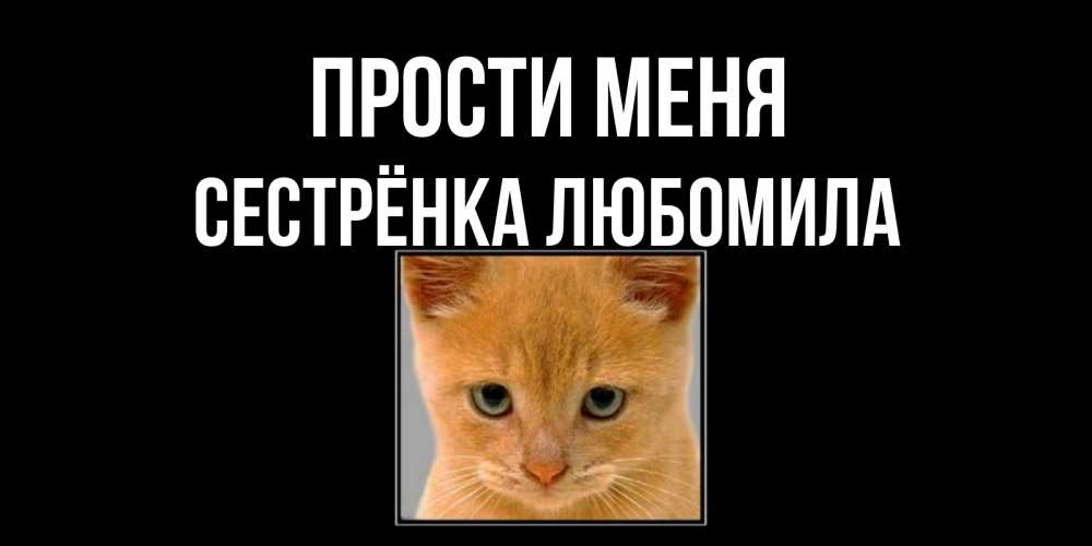 Открытка на каждый день с именем, Сестрёнка-Любомила Прости меня рыжий грустный кот просит прощения Прикольная открытка с пожеланием онлайн скачать бесплатно 