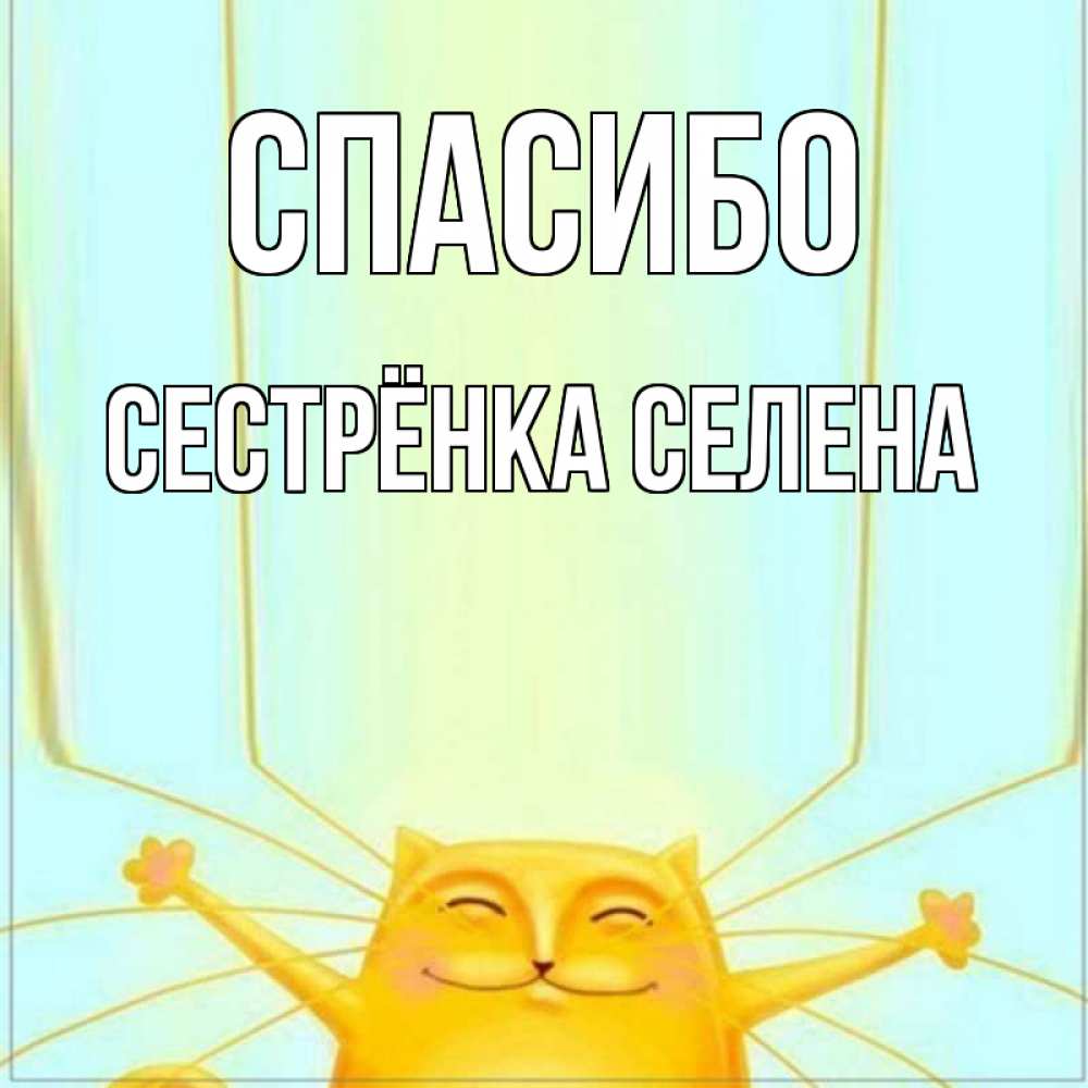 Открытка на каждый день с именем, Сестрёнка-Селена Спасибо кот с усами благодарит Прикольная открытка с пожеланием онлайн скачать бесплатно 