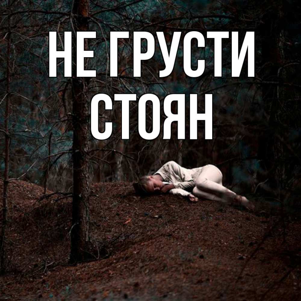 Открытка на каждый день с именем, Стоян Не грусти лес Прикольная открытка с пожеланием онлайн скачать бесплатно 