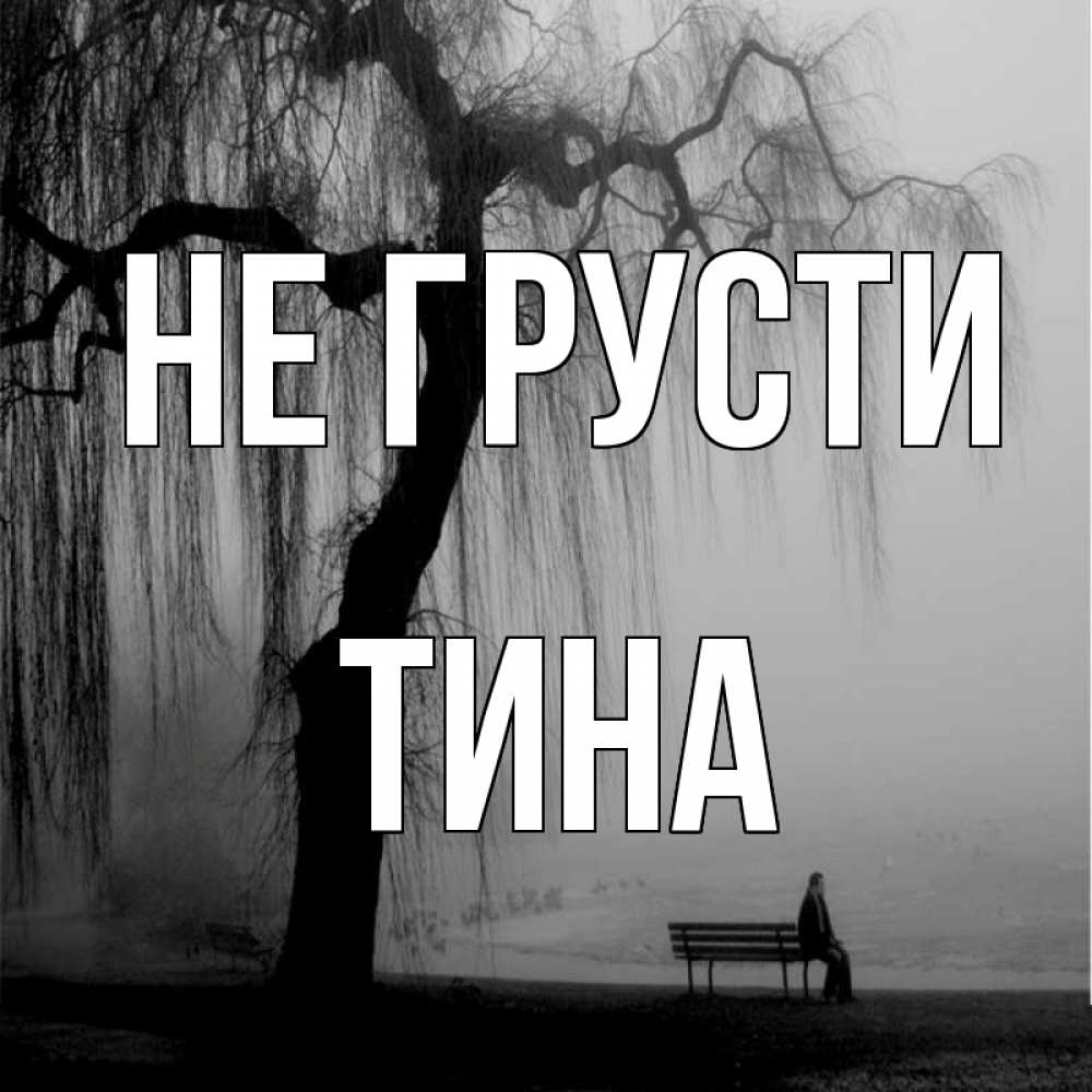 Открытка на каждый день с именем, Тина Не грусти висящие ветки дерева и лавочка под деревом Прикольная открытка с пожеланием онлайн скачать бесплатно 