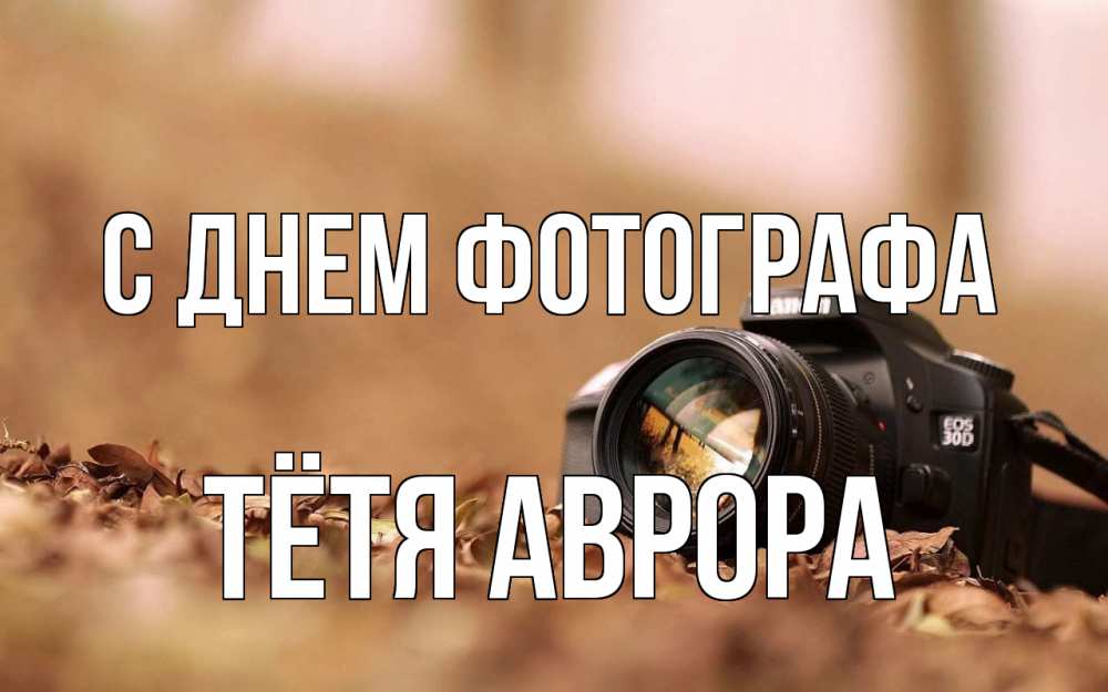 Открытка на каждый день с именем, Тётя-Аврора С днем фотографа с днем фотографа Прикольная открытка с пожеланием онлайн скачать бесплатно 