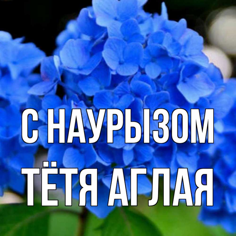 Открытка на каждый день с именем, Тётя-Аглая С наурызом синие цветы Прикольная открытка с пожеланием онлайн скачать бесплатно 