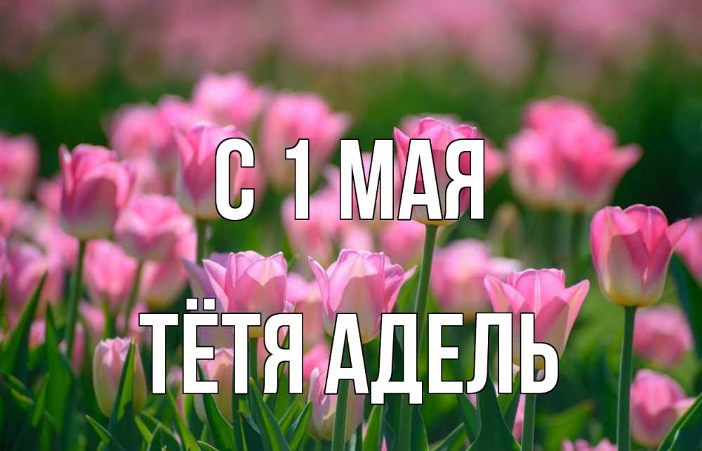 Открытка на каждый день с именем, Тётя-Адель С 1 мая С 1 мая Прикольная открытка с пожеланием онлайн скачать бесплатно 