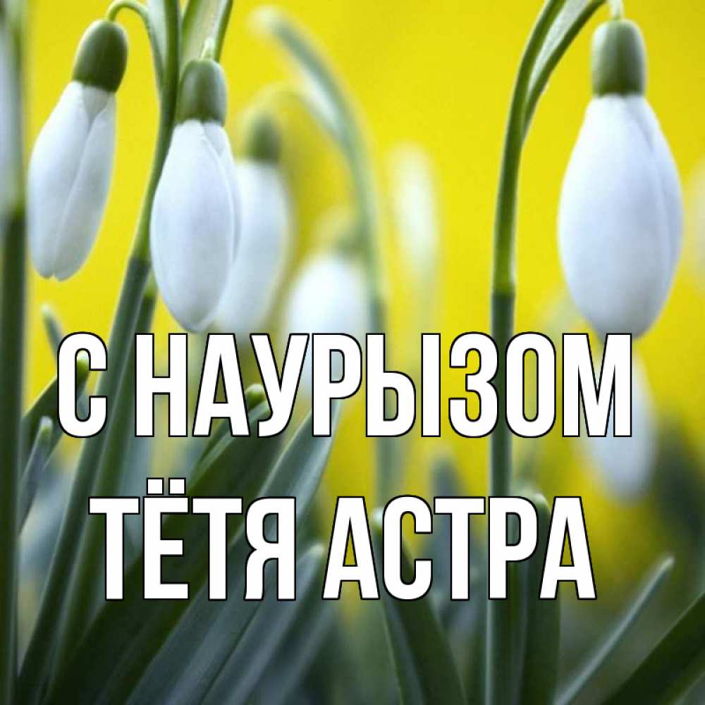 Открытка на каждый день с именем, Тётя-Астра С наурызом весенние цветы Прикольная открытка с пожеланием онлайн скачать бесплатно 