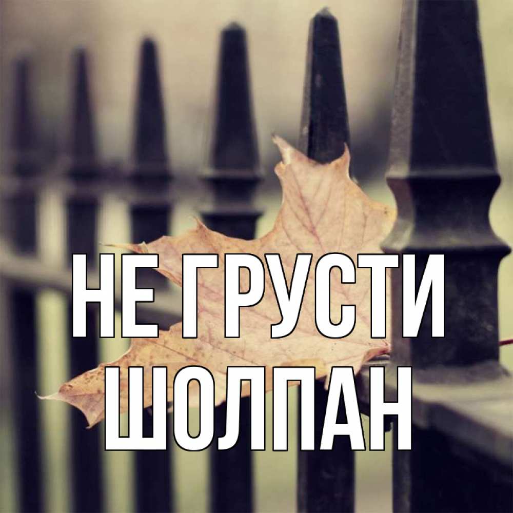 Открытка на каждый день с именем, Шолпан Не грусти лист клена Прикольная открытка с пожеланием онлайн скачать бесплатно 