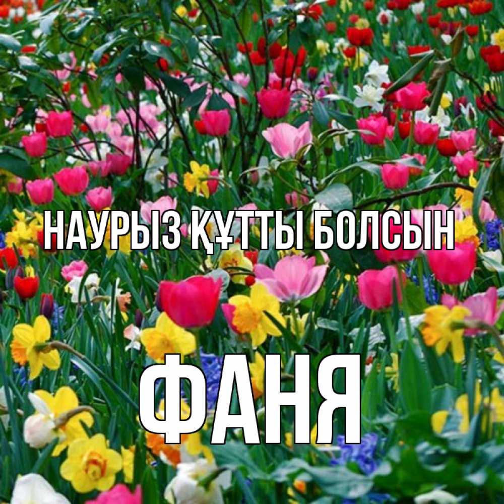 Открытка на каждый день с именем, Фаня Наурыз құтты болсын с наурызом поздравления для женщины Прикольная открытка с пожеланием онлайн скачать бесплатно 