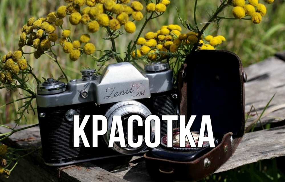 Открытка на каждый день с именем, красотка Главная с днем фотографа Прикольная открытка с пожеланием онлайн скачать бесплатно 