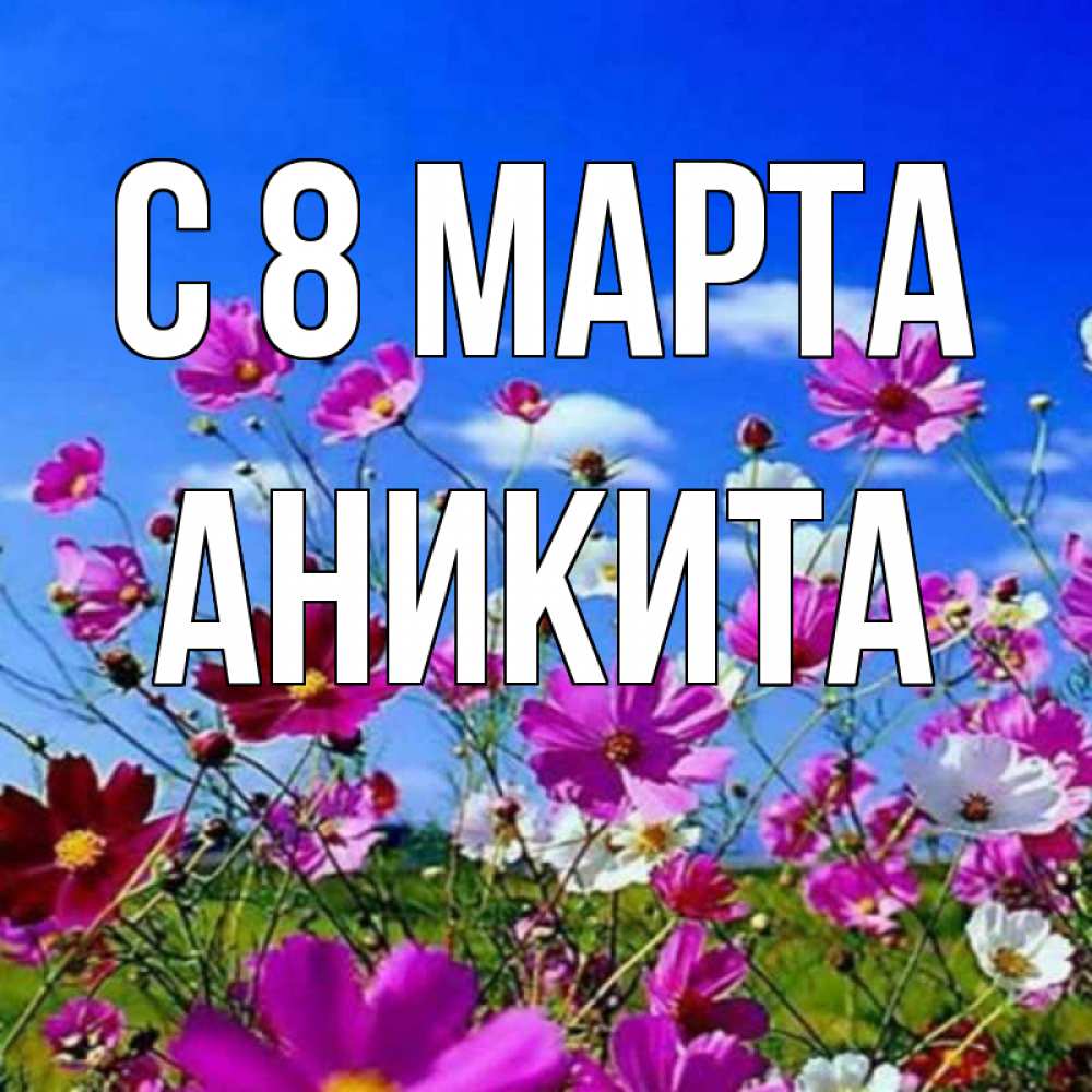 Открытка на каждый день с именем, Аникита С 8 марта цветы Прикольная открытка с пожеланием онлайн скачать бесплатно 