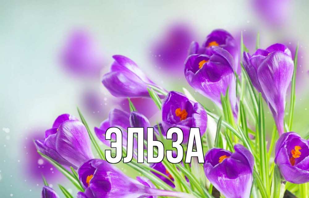 Картинка  с именем , Эльза