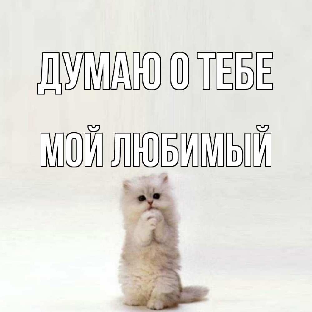 Я тебя тоже люблю открытки, открытки днем