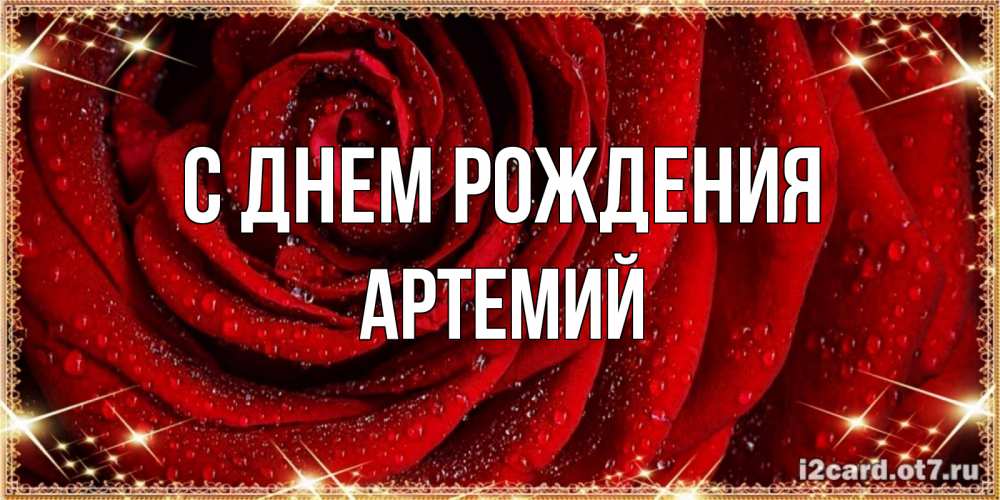 Открытка на каждый день с именем, Артемий С днем рождения роса на розе блестящая в лучах солнца Прикольная открытка с пожеланием онлайн скачать бесплатно 