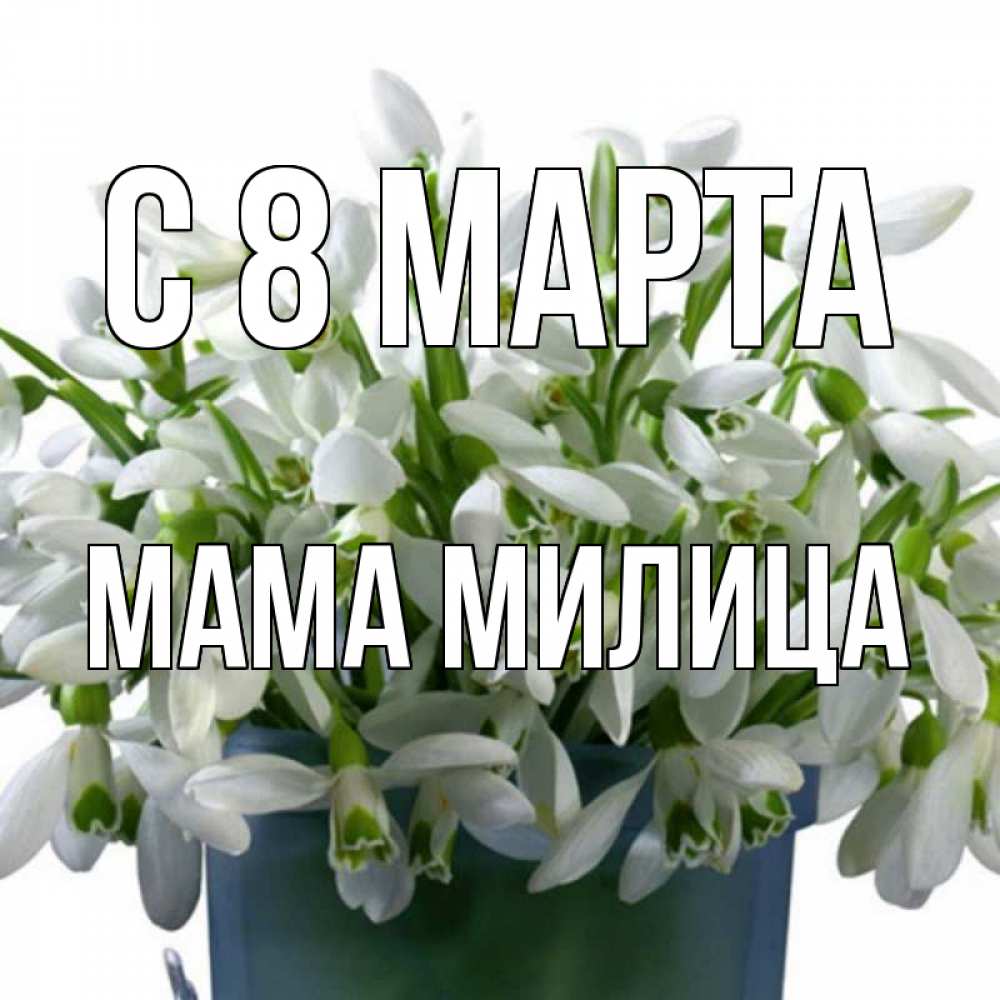 Открытка на каждый день с именем, Мама-Милица С 8 марта цветы к международному женскому дню Прикольная открытка с пожеланием онлайн скачать бесплатно 