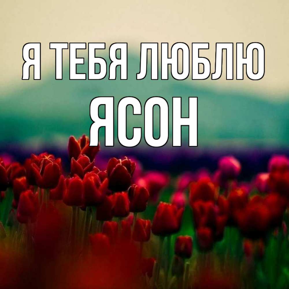 Мой любимый день. Оксаночка я тебя люблю. Доброе утро Светулечка. Люблю Марину фото. Любимая Марина картинки.