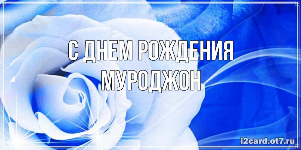 Открытка на каждый день с именем, Муроджон С днем рождения белая роза на голубом фоне Прикольная открытка с пожеланием онлайн скачать бесплатно 