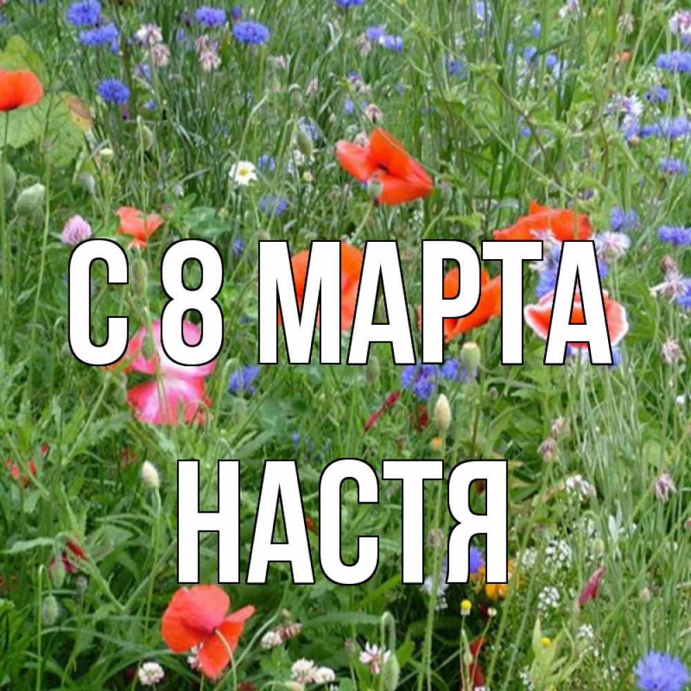Открытка на каждый день с именем, Настя С 8 марта международный женский день 4 Прикольная открытка с пожеланием онлайн скачать бесплатно 