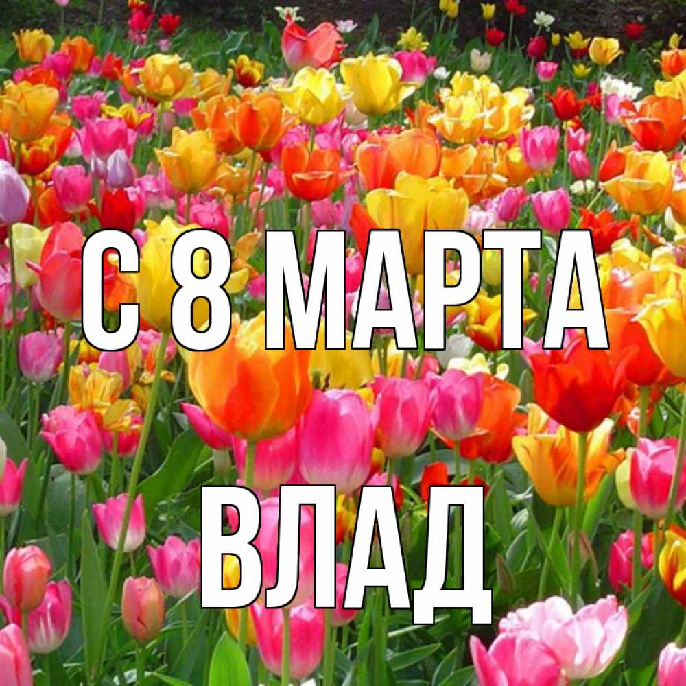Открытка на каждый день с именем, Влад С 8 МАРТА на международный женский день Прикольная открытка с пожеланием онлайн скачать бесплатно 
