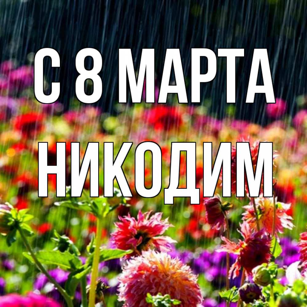 Открытка на каждый день с именем, Никодим С 8 МАРТА цветы под дождиком к международному женскому дню Прикольная открытка с пожеланием онлайн скачать бесплатно 