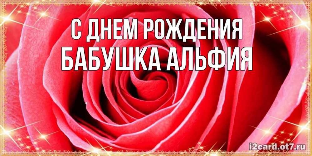 Открытка на каждый день с именем, Бабушка-Альфия С днем рождения розовая роза очень крупный бутон Прикольная открытка с пожеланием онлайн скачать бесплатно 