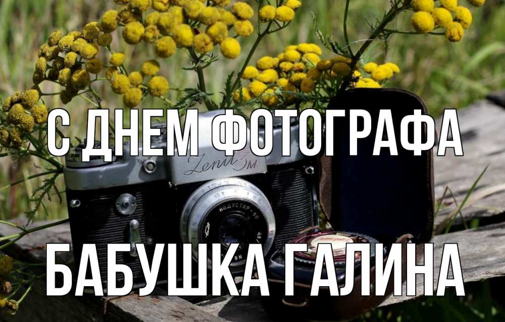 Открытка на каждый день с именем, Бабушка-Галина С днем фотографа с днем фотографа Прикольная открытка с пожеланием онлайн скачать бесплатно 