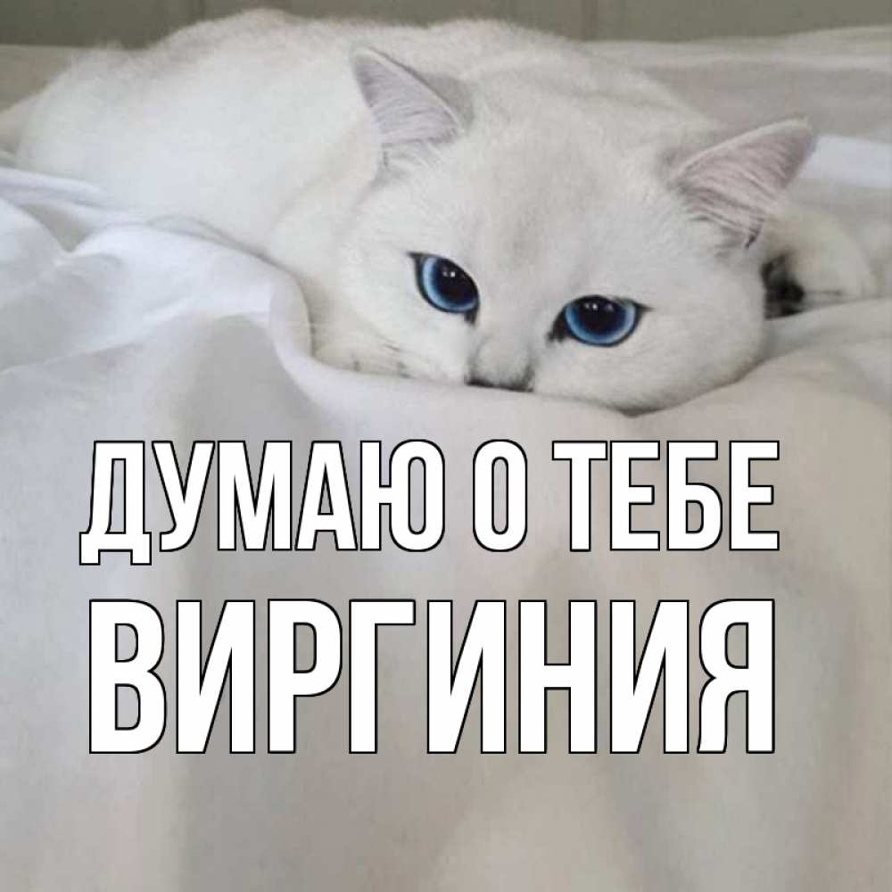 Открытка на каждый день с именем, Виргиния Думаю о тебе я очень по тебе скучаю и тоскую Прикольная открытка с пожеланием онлайн скачать бесплатно 