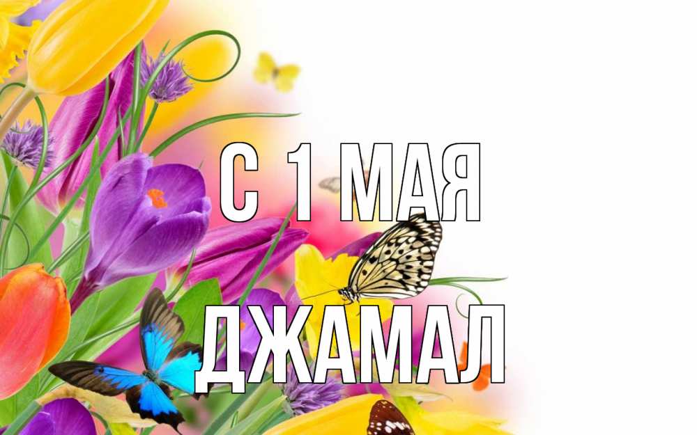 Открытка на каждый день с именем, Джамал С 1 мая С 1 мая Прикольная открытка с пожеланием онлайн скачать бесплатно 