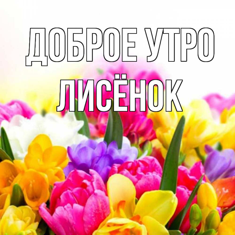 Открытка на каждый день с именем, Лисёнок Доброе утро создать открытку со свое подписью Прикольная открытка с пожеланием онлайн скачать бесплатно 
