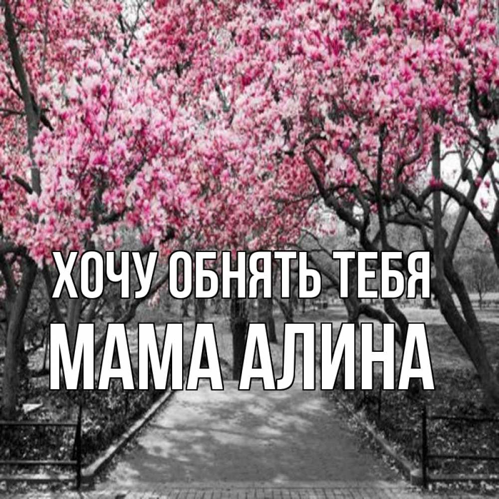 Открытка на каждый день с именем, Мама-Алина Хочу обнять тебя обработанное фото Прикольная открытка с пожеланием онлайн скачать бесплатно 