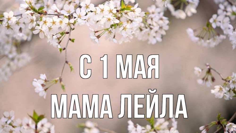 Открытка на каждый день с именем, Мама-Лейла С 1 мая С 1 мая Прикольная открытка с пожеланием онлайн скачать бесплатно 