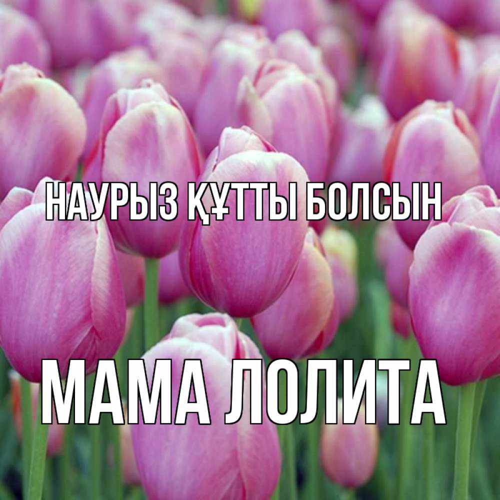 Открытка на каждый день с именем, Мама-Лолита Наурыз құтты болсын на наурыз  день 3 Прикольная открытка с пожеланием онлайн скачать бесплатно 