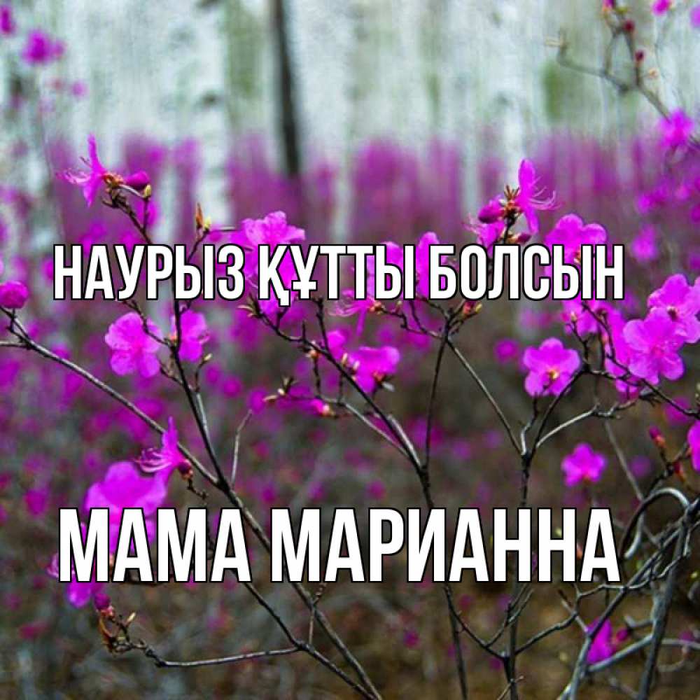 Открытка на каждый день с именем, Мама-Марианна Наурыз құтты болсын дикие цветы Прикольная открытка с пожеланием онлайн скачать бесплатно 