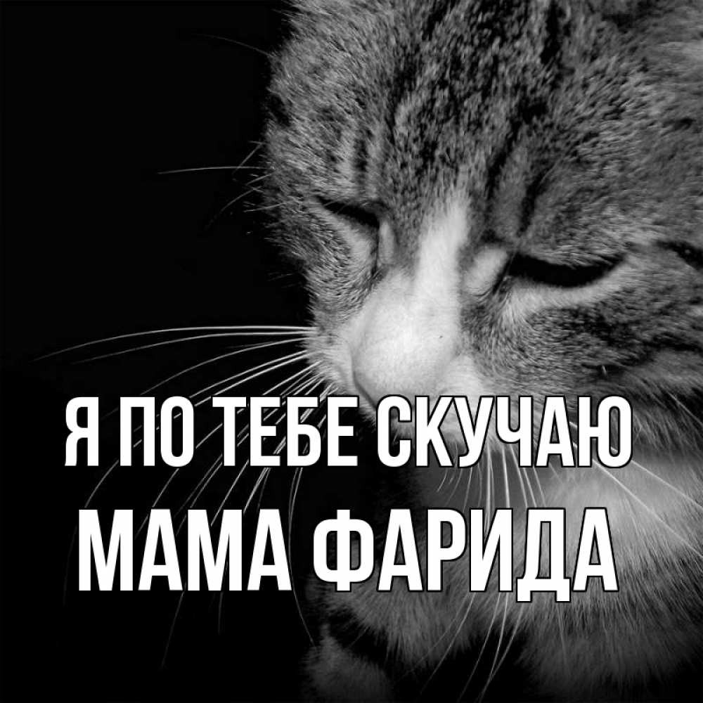 Открытка на каждый день с именем, Мама-Фарида Я по тебе скучаю мне скучно Прикольная открытка с пожеланием онлайн скачать бесплатно 