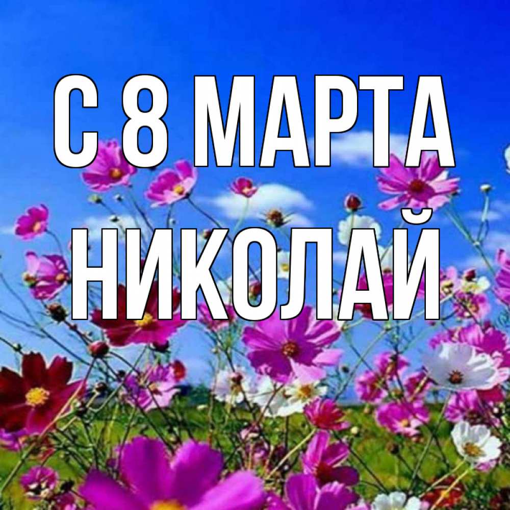 Открытка на каждый день с именем, Николай С 8 марта цветы Прикольная открытка с пожеланием онлайн скачать бесплатно 
