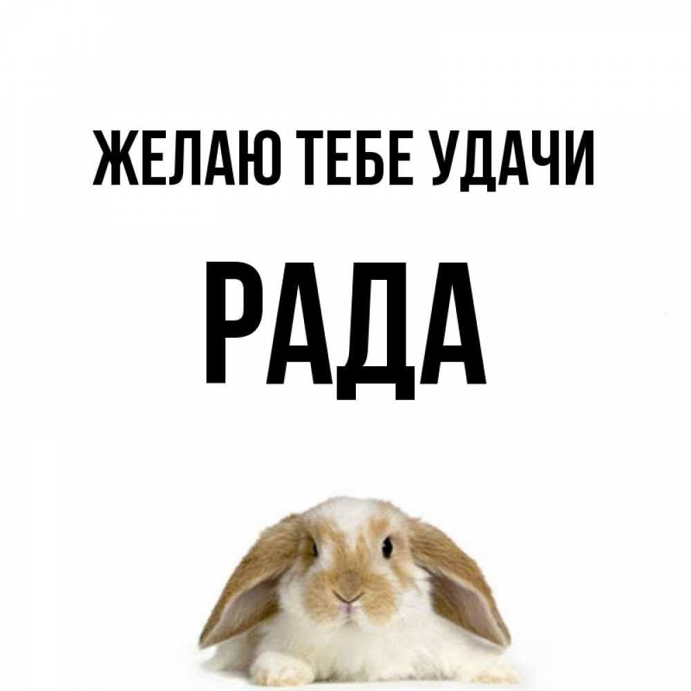 Открытка на каждый день с именем, Рада Желаю тебе удачи открытки с произвольным текстом который можно вставить в открытку и создать ее самостоятельно бесплатно онлайн Прикольная открытка с пожеланием онлайн скачать бесплатно 