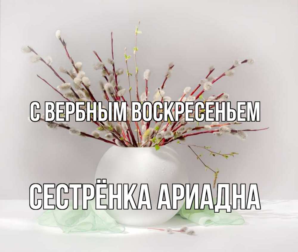 Открытка на каждый день с именем, Сестрёнка-Ариадна С вербным воскресеньем верба Прикольная открытка с пожеланием онлайн скачать бесплатно 