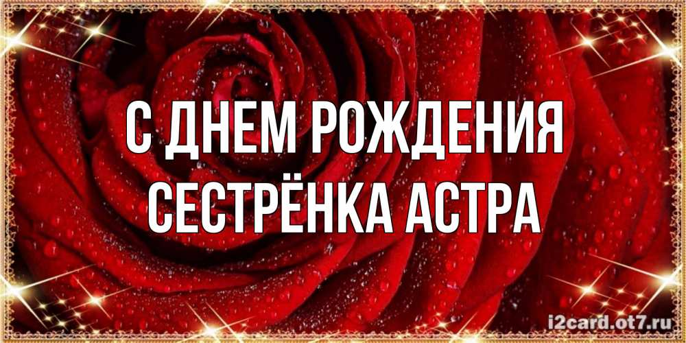 Открытка на каждый день с именем, Сестрёнка-Астра С днем рождения роса на розе блестящая в лучах солнца Прикольная открытка с пожеланием онлайн скачать бесплатно 