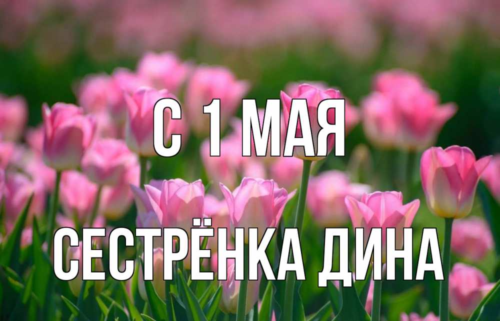 Открытка на каждый день с именем, Сестрёнка-Дина С 1 мая С 1 мая Прикольная открытка с пожеланием онлайн скачать бесплатно 