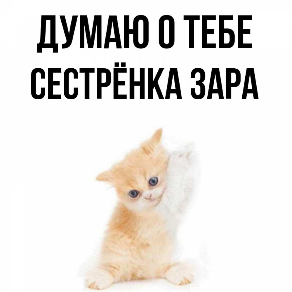 Открытка на каждый день с именем, Сестрёнка-Зара Думаю о тебе зверушки и милота Прикольная открытка с пожеланием онлайн скачать бесплатно 