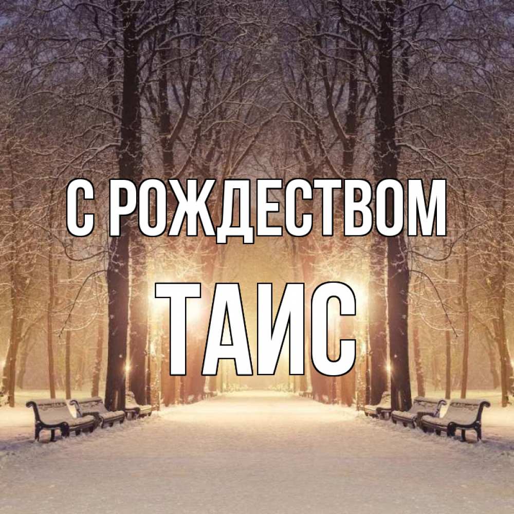 Открытка на каждый день с именем, Таис С рождеством зима, парк, фонарь, лес Прикольная открытка с пожеланием онлайн скачать бесплатно 