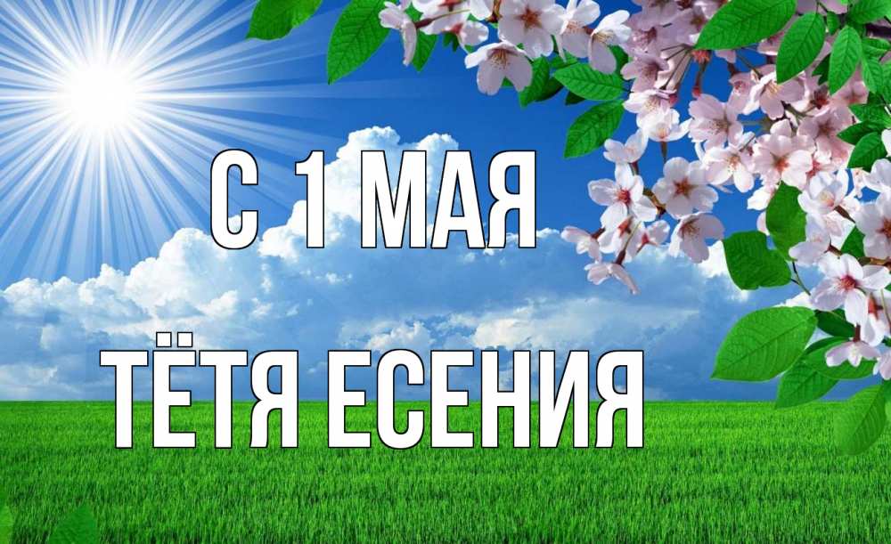Открытка на каждый день с именем, Тётя-Есения С 1 мая С 1 мая Прикольная открытка с пожеланием онлайн скачать бесплатно 