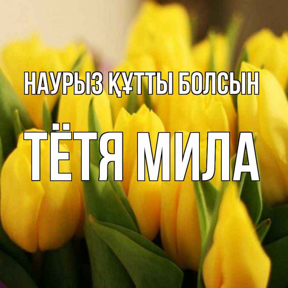 Открытка на каждый день с именем, Тётя-Мила Наурыз құтты болсын цветы Прикольная открытка с пожеланием онлайн скачать бесплатно 