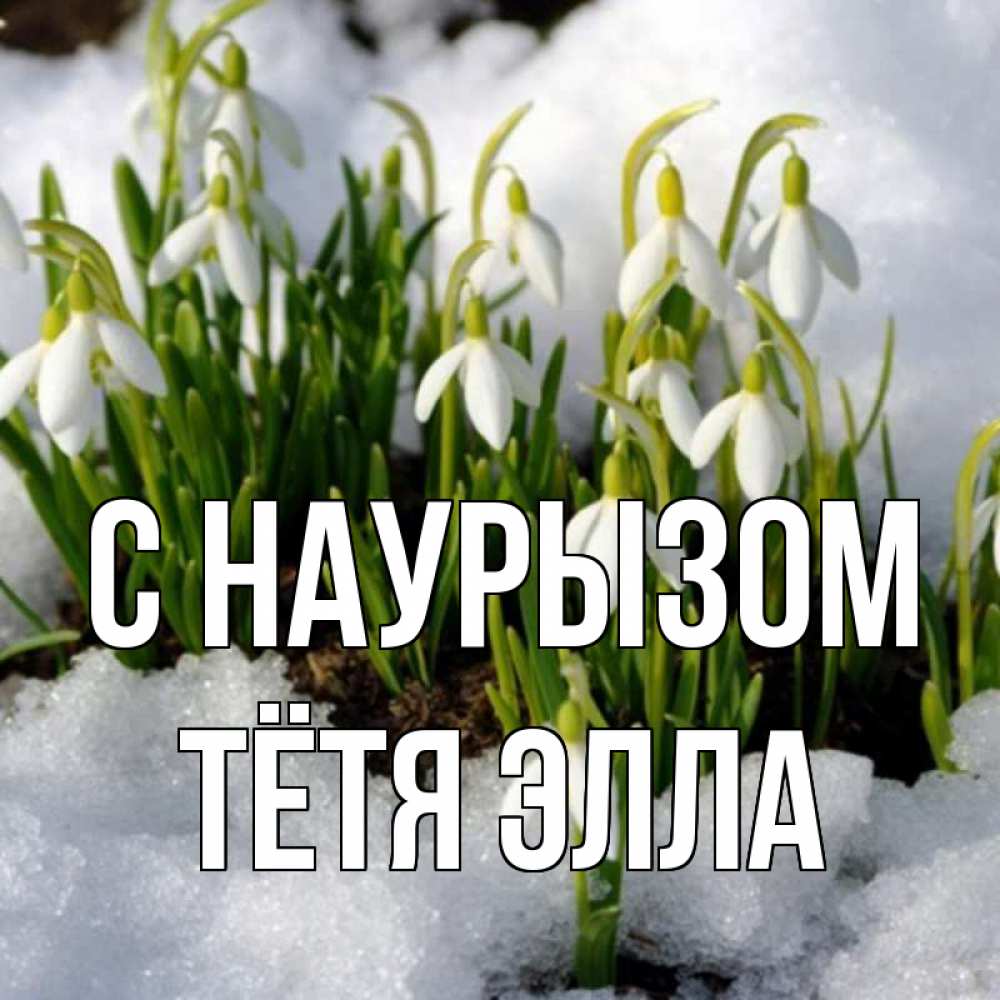 Открытка на каждый день с именем, Тётя-Элла С наурызом цветы весенние Прикольная открытка с пожеланием онлайн скачать бесплатно 