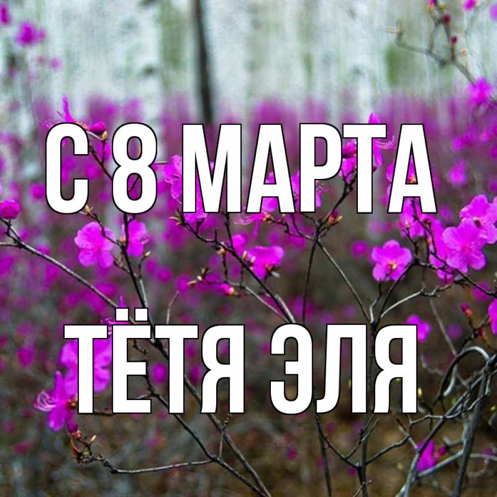 Открытка на каждый день с именем, Тётя-Эля С 8 МАРТА дикие цветы Прикольная открытка с пожеланием онлайн скачать бесплатно 