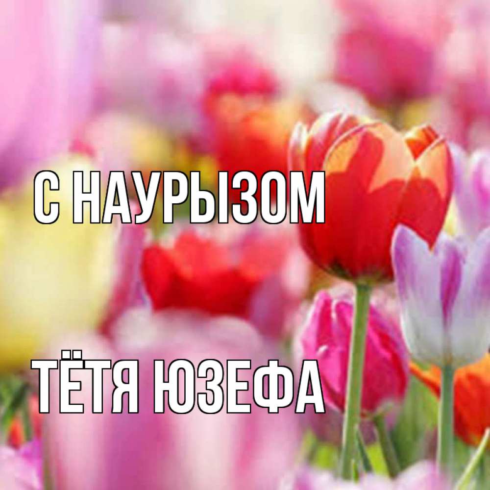Открытка на каждый день с именем, Тётя-Юзефа С наурызом праздник весны наурыз 67 Прикольная открытка с пожеланием онлайн скачать бесплатно 