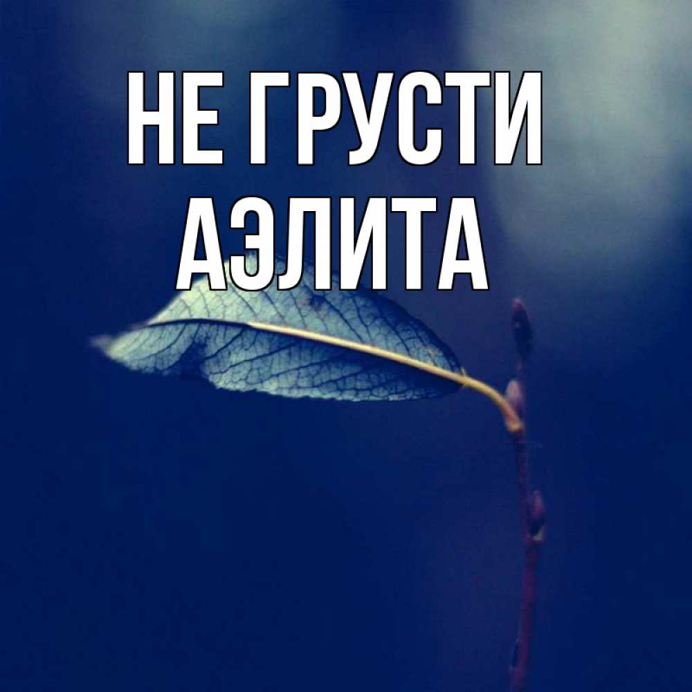 Открытка на каждый день с именем, Аэлита Не грусти растение Прикольная открытка с пожеланием онлайн скачать бесплатно 