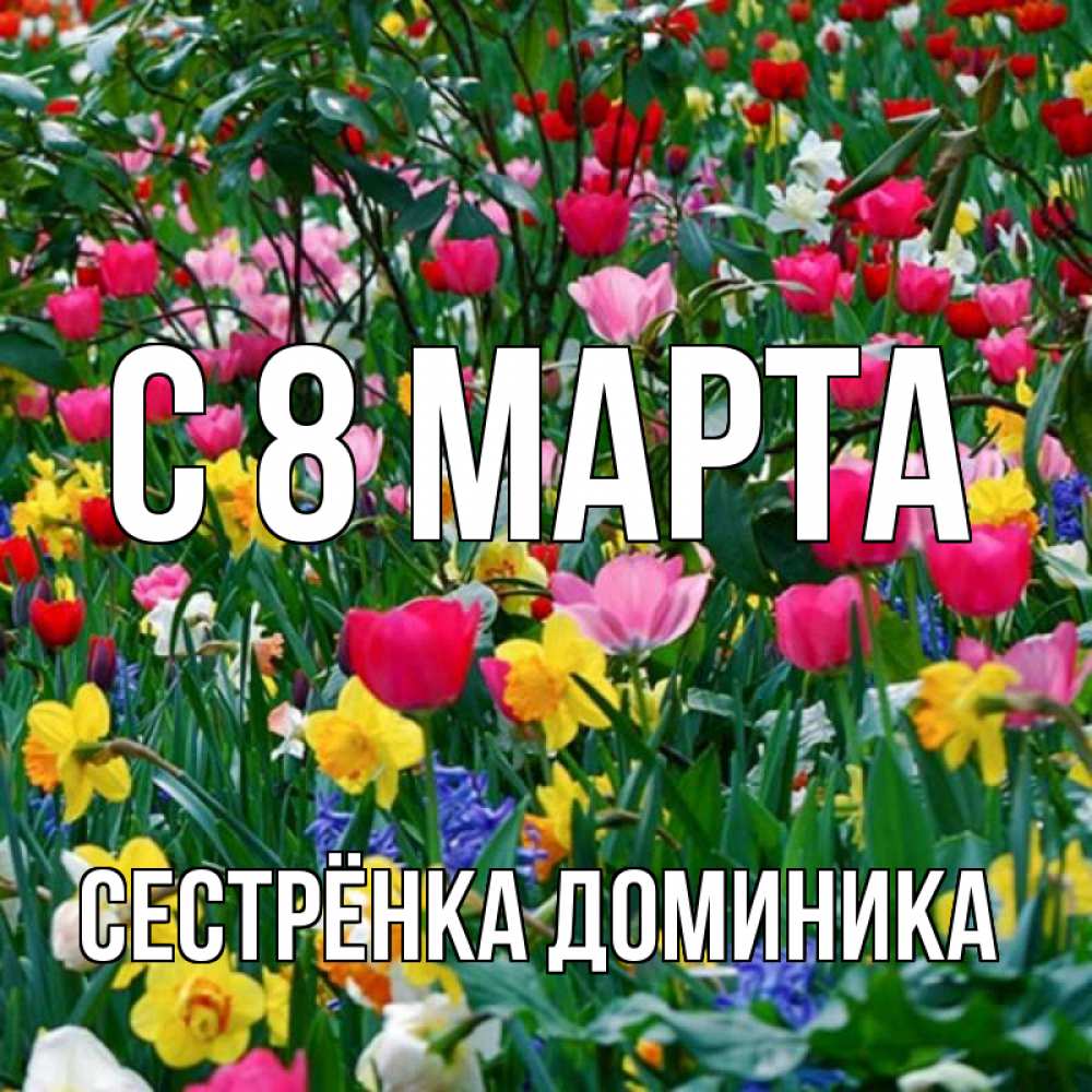 Открытка на каждый день с именем, Сестрёнка-Доминика С 8 марта с международным женским днем поздравления для женщины Прикольная открытка с пожеланием онлайн скачать бесплатно 