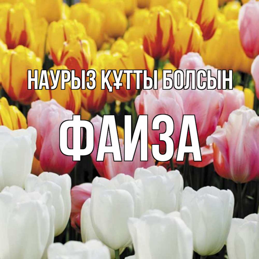 Открытка на каждый день с именем, Фаиза Наурыз құтты болсын разноцветные цветы Прикольная открытка с пожеланием онлайн скачать бесплатно 