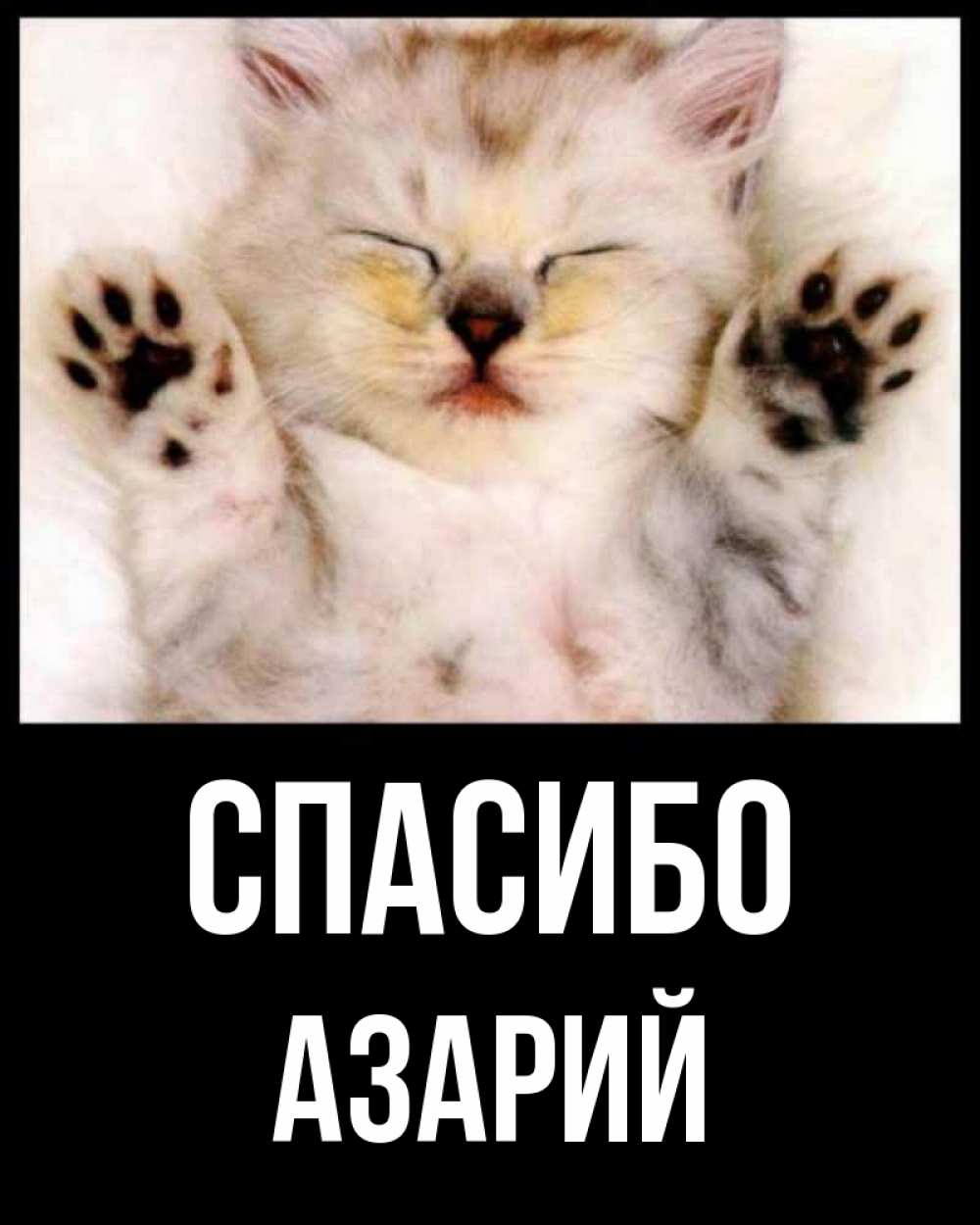 Открытка на каждый день с именем, Азарий Спасибо маленький котенок Прикольная открытка с пожеланием онлайн скачать бесплатно 