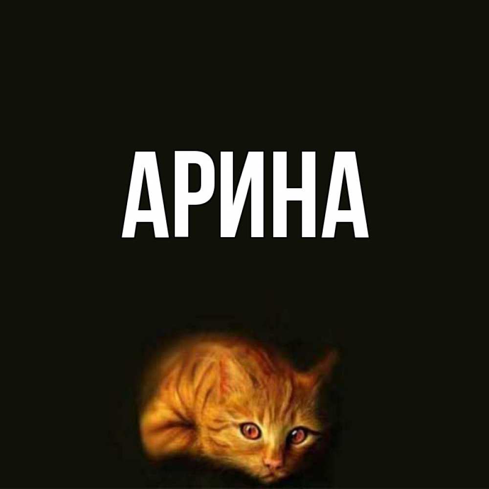 Открытка на каждый день с именем, Арина Главная лежащий кот в темноте Прикольная открытка с пожеланием онлайн скачать бесплатно 